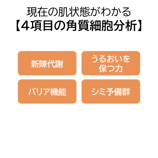 4項目の角質細胞分析